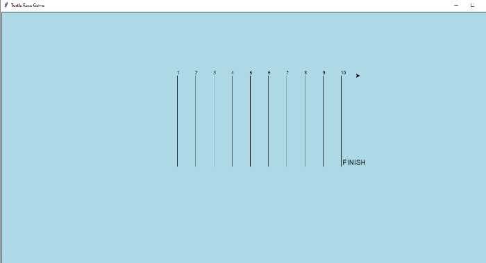 race track for turtle race game