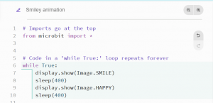 Learn Python the Fun Way: Hands-On with Microbit Python Editor